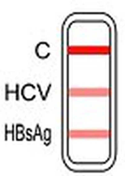 HBsAg dan HCV 2 dalam 1 Ujian Pantas